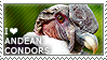 A stamp with an image of an andean condor and the text I love andean condors.